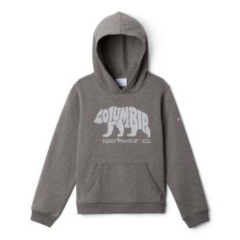 Columbia Hoodie Jongens, Park Grijs, 79TSIPYNF